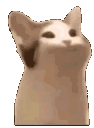 77102popcat Emote