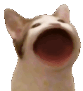 Wompwompwompwomp Emote