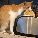 cat_eating Emote