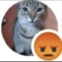 meencabrona Emote