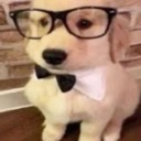 ErmDog Emote