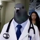 DoctorPigeon Emote