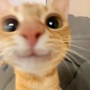emoji_12 Emote