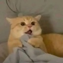 emoji_76 Emote