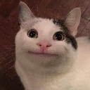 beluga Emote