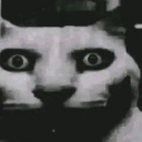 catscarred4life Emote