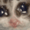 AZ_blackie_cry Emote