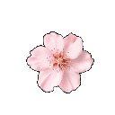 d_nes_zflowerdns0 Emote