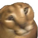 floppashake Emote