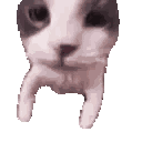 cat_kiss Emote