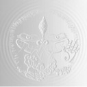 boros Emote