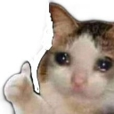 sob Emote