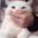 emoji_19 Emote