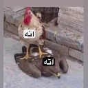 emoji_40 Emote