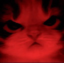 kittyangy Emote