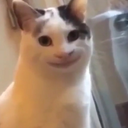 arab26 Emote