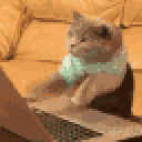typing_cat Emote