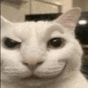 catsmirk Emote