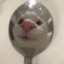 sosilly Emote