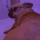 Yamee Emote