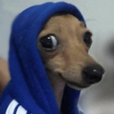 879276396256567317 Emote