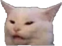 tf Emote