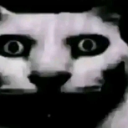 drebby Emote