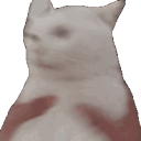 cat_shake Emote