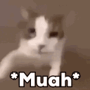 emoji_3 Emote