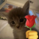 emoji_36 Emote