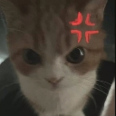 emoji_49 Emote