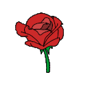 Rose Emote