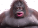 ah Emote