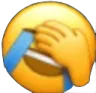 cantbelievets Emote