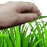 grass Emote