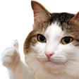 thumbsup Emote