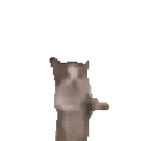 joy Emote