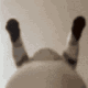 SR_ohhhyeaaahh Emote
