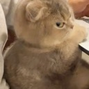 emoji_2 Emote