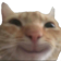 catmeme Emote