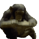 bonk Emote