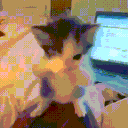 emoji_105 Emote