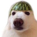 64017dogdua Emote