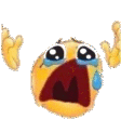 e_WHY Emote