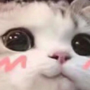 ban_uwu Emote