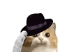 CatFedora Emote