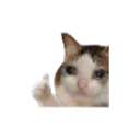 emojigg_Ok Emote
