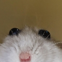 emoji_57 Emote
