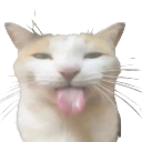 3278blehhcat Emote