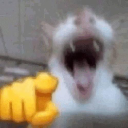 ff73f715e1d9a9187b9c7387e12ba919 Emote